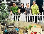 Người dân tự nguyện giao nộp 02 cá thể chim công nghi đi lạc cho Cơ quan chức năng