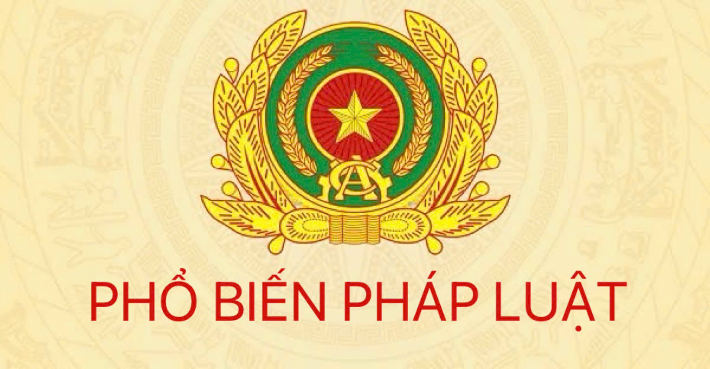 Chi tiết các lỗi vi phạm bị trừ điểm trên Giấy phép lái xe theo Nghị định 168/CP