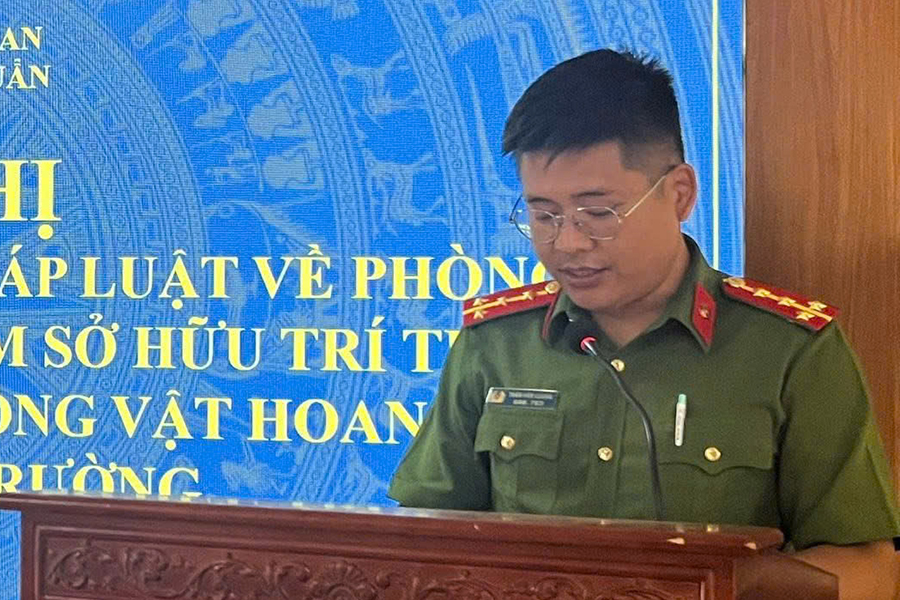 Tuyên truyền, phổ biến pháp luật về bảo vệ môi trường và sở hữu trí tuệ