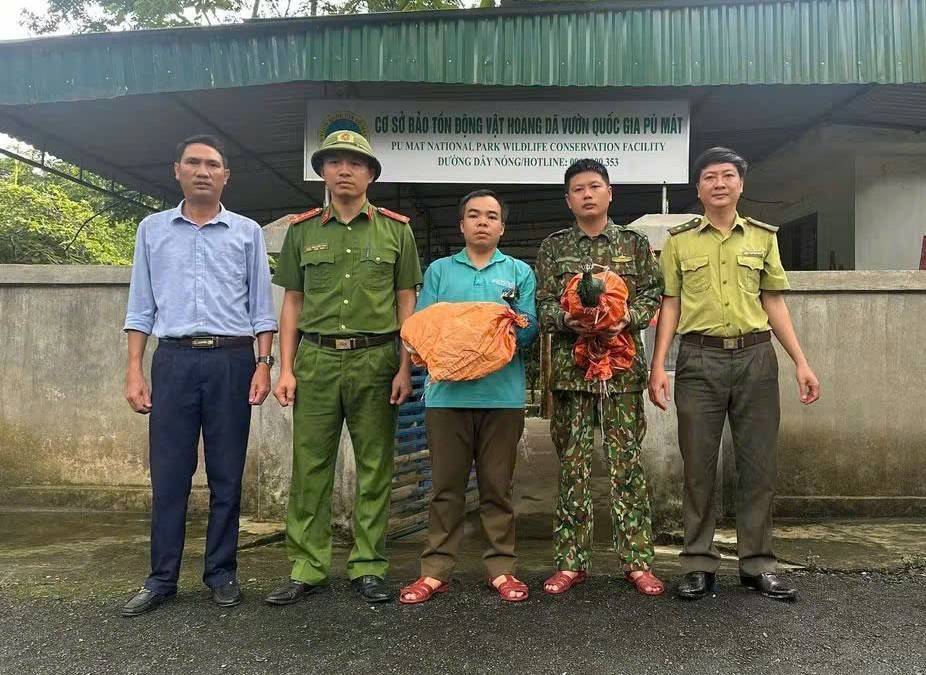 Anh Đặng Đình Thuyết giao nộp 2 cá thể công cho cơ quan chức năng