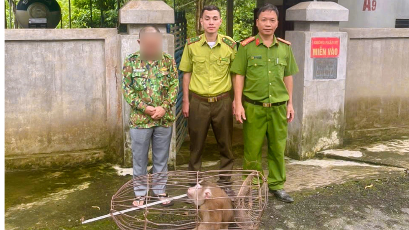 Công an xã Mỹ Lý vận động người dân tự nguyện giao nộp động vật hoang dã quý hiếm