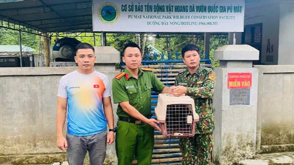 Vận động người dân giao nộp cá thể khỉ