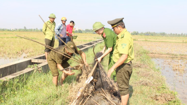 Ra quân kiểm tra, xử lý nạn săn bắt chim hoang dã, chim di cư