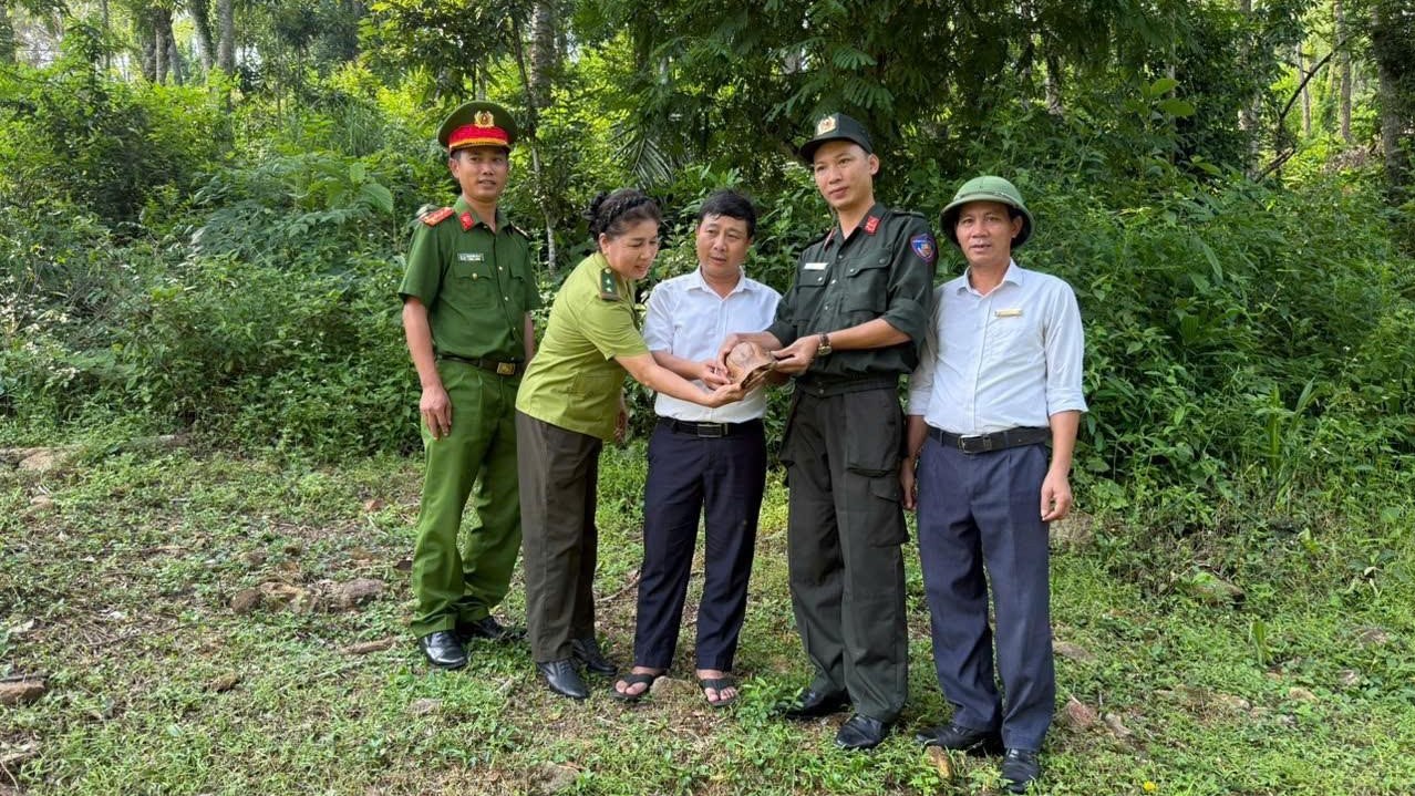 Thả rùa hộp trán vàng quý hiếm về môi trường tự nhiên