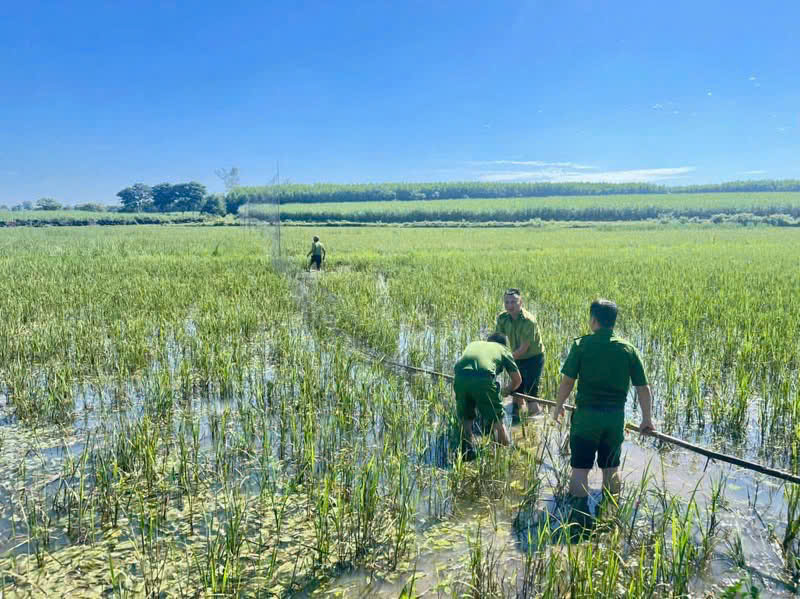 Công an xã Nghĩa Khánh phát hiện, tháo dỡ lưới bẫy chim trái phép
