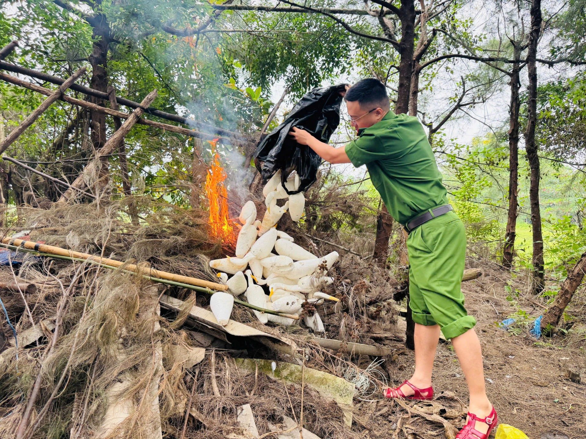 Công an xã Quỳnh Anh phát hiện, tháo dỡ lưới bẫy chim trái phép