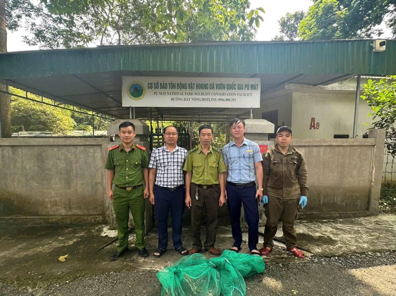Phối hợp bàn giao cá thể trăn về Vườn quốc gia Pù Mát