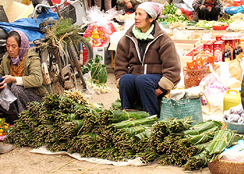 Hình ảnh chợ quê ngày Tết