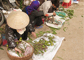 Hình ảnh chợ quê ngày Tết