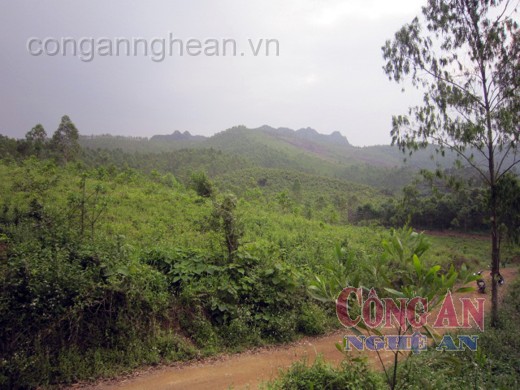 Chưa được đền bù đã bị thu hồi