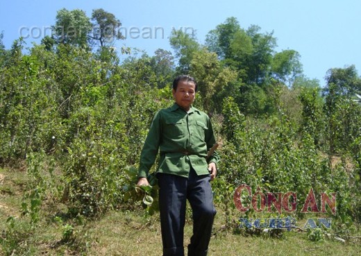 Người lính già vác tù và hàng tổng