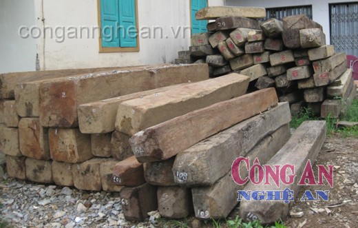Bắt 3 vụ khai thác khoáng sản và lâm sản trái phép