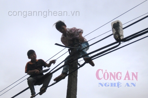 Nhóm học sinh chuyên cắt trộm dây thông tin liên lạc