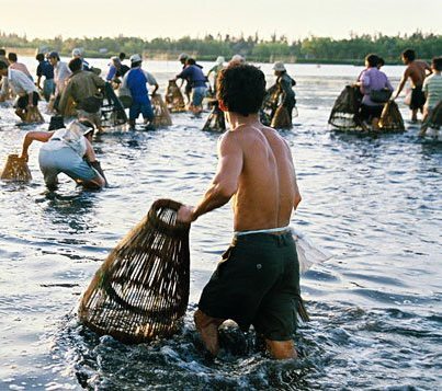 Mùa nơm đồng xứ Nghệ