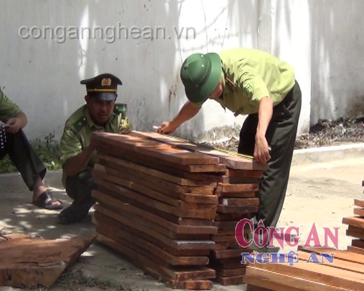 Một ngày 2 vụ vận chuyển lâm sản trái phép