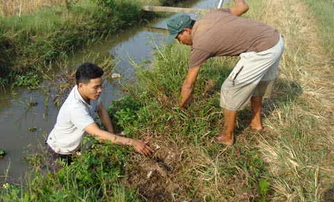 Kỳ thú chuyện săn chuột “khủng” ở Thái Bình