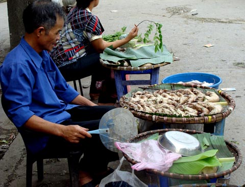 Kỳ thú chuyện săn chuột “khủng” ở Thái Bình