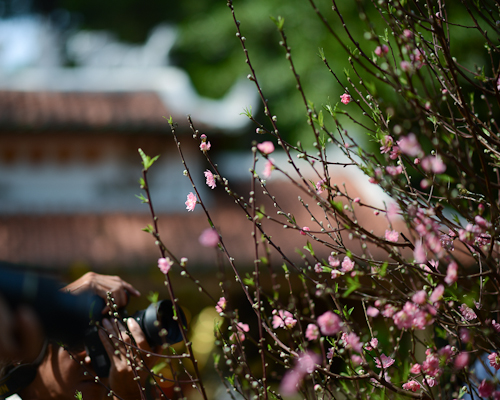 TMH_8415-2
