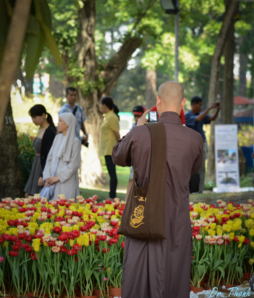 TMH_8447