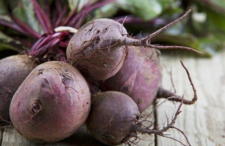 siêu vi trùng, ung thư, bệnh gout, áp huyết cao, củ cải đường