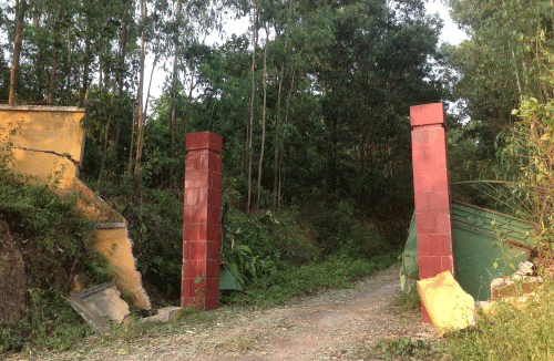 Những người thoát chết trong vụ nổ xí nghiệp pháo hoa - thuốc nổ nói gì 2
