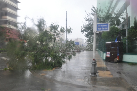 bão số 11, tâm bão, Đà Nẵng