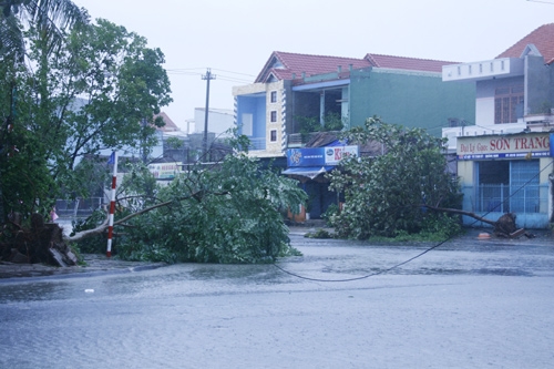 Miền Trung, tan hoang, bão Miền Trung, tan hoang, bão