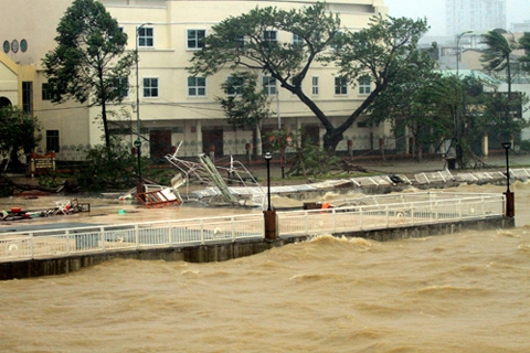 Miền Trung, tan hoang, bão Miền Trung, tan hoang, bão