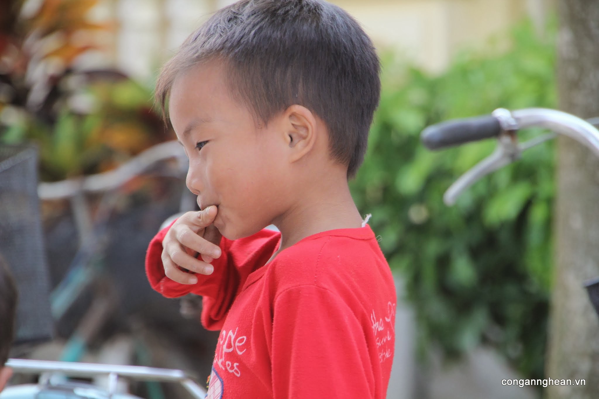 Một bé trai xấu hổ khi PV chụp ảnh mình đang nũng nịu mẹ cho thêm phần kẹo.