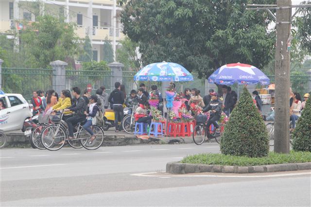 Tại các cung đường đều rực rỡ sắc hoa