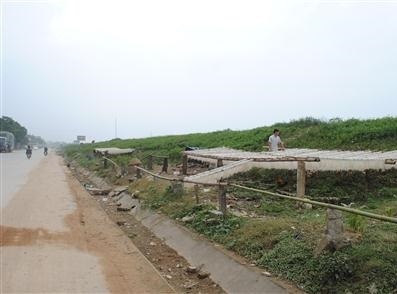 Miến phơi hứng bụi đường