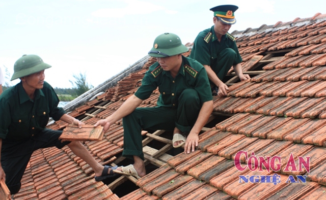 Triển khai xây dựng 40 