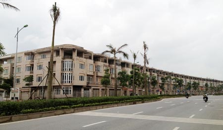 Chỉ đạo, điều hành của Chính phủ, Thủ tướng Chính phủ nổi bật tuần