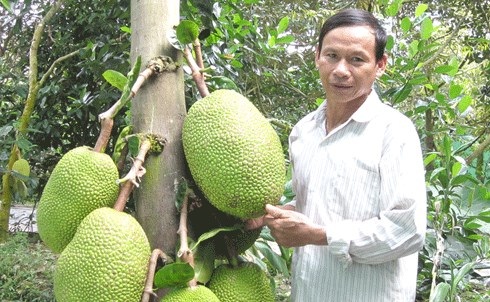 Những tin đồn đáng sợ, gây thiệt hại tiền tỷ năm 2013