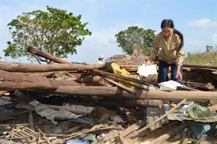 Ẩn họa cuộc chiến giữa voi rừng Tây Nguyên với người