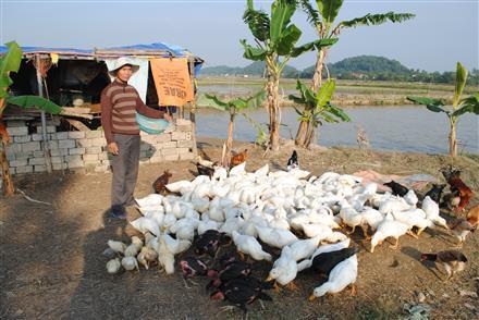 Ông Kỷ 'gàn'