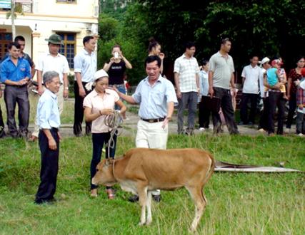 Nhiều mô hình giảm nghèo kém hiệu quả