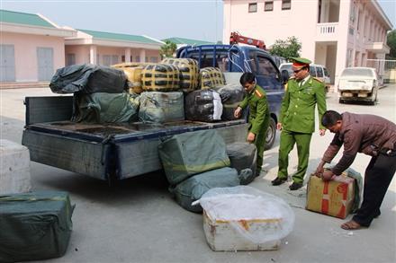 Bắt gần 1 tấn nội tạng thối