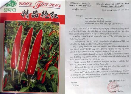 Chưa kiểm dịch thực vật đã đem gieo trồng
