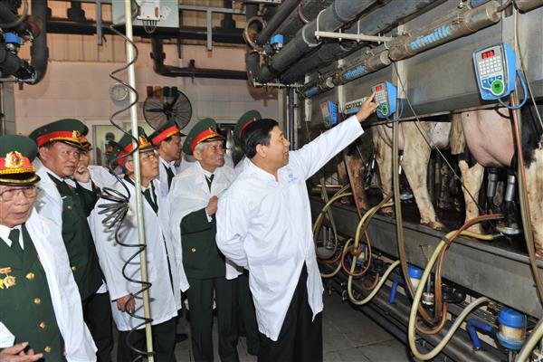 Tin tưởng vào sự đổi mới, phát triển của quê hương