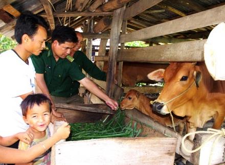Cần chú trọng đến chất lượng, bền vững, lâu dài