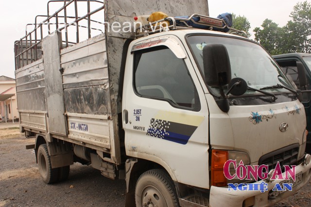 Chiếc ôtô tải là phương tiện  vận chuyển trâu trộm được