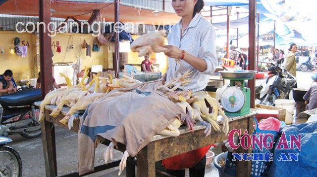 Tràn lan gia cầm chưa qua kiểm dịch ở chợ ven đô