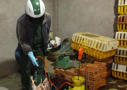 Chiêu 'bẩn' bơm tăng trọng của đồ tể lò mổ