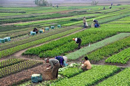 Luật đất đai sửa đổi: Gắn chặt hơn với quyền lợi của người dân