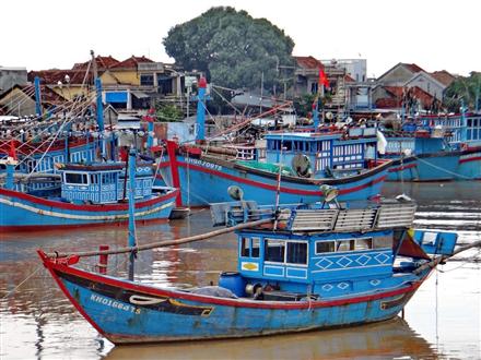 Trên 95% số tàu thuyền đã được đăng kiểm