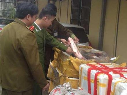 Bắt giữ gần 2tấn cá, ếch từ Trung Quốc tuồn về Việt Nam