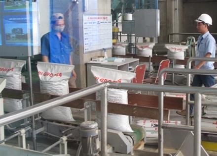 Xuất khẩu gạo không đủ tiền nhập khẩu ngô