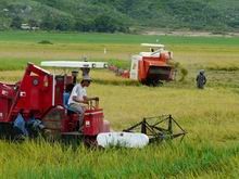 Sẽ hỗ trợ giảm tổn thất trong nông nghiệp