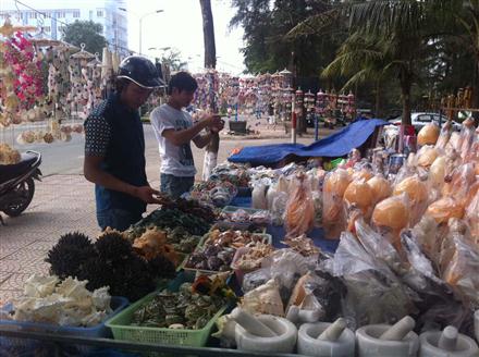 Hướng đến một đô thị biển văn minh, hiện đại và an toàn